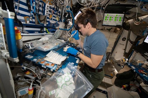 NASA Astronaut Anne McClain Conducts Space Science and Station Maintenance