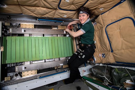 iss059e034662