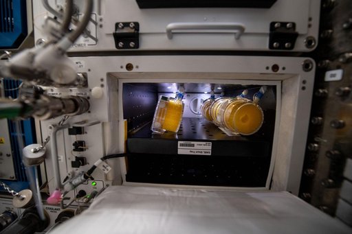 iss059e099184