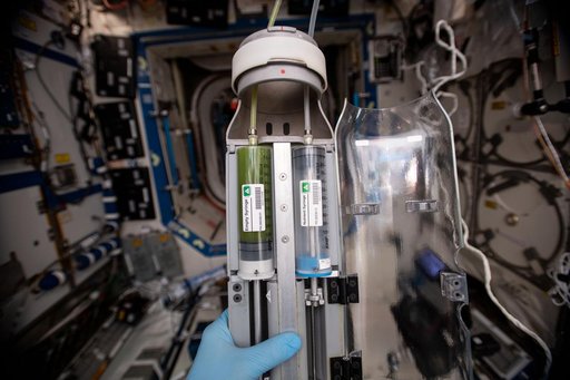Photobioreactor