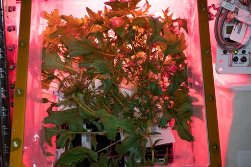 iss060e004723