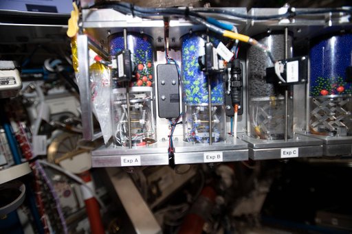 iss060e008906