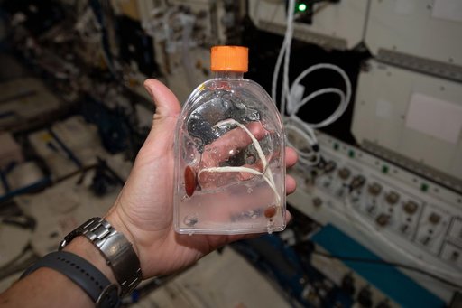 iss060e015472