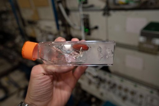 iss060e015476