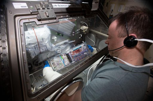 iss060e019992