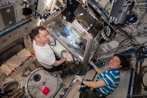 iss060e021469