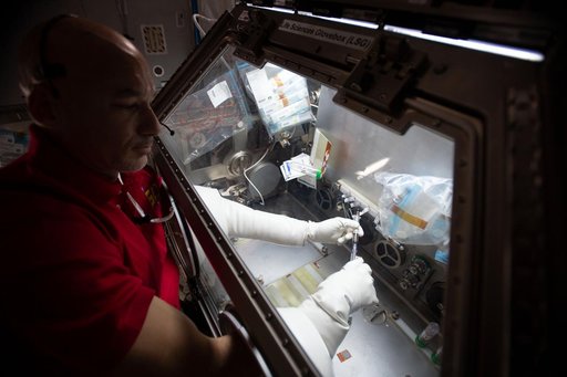 iss060e035097