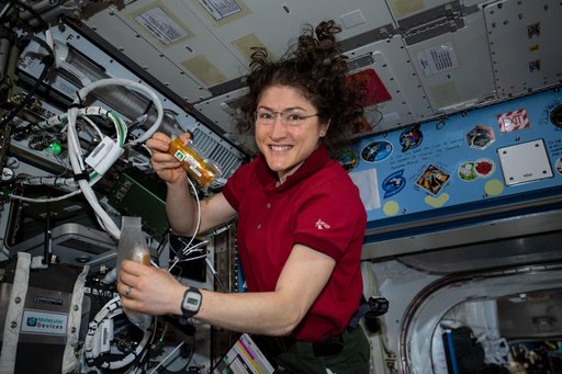 iss060e035164
