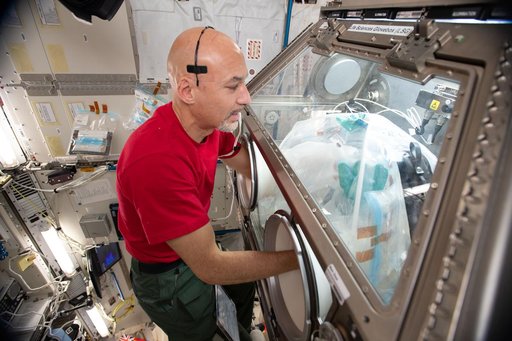 iss060e043685