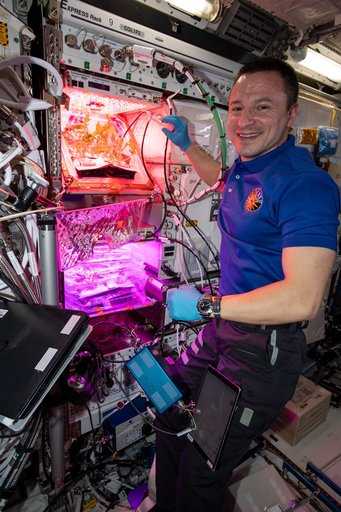 iss061e012956
