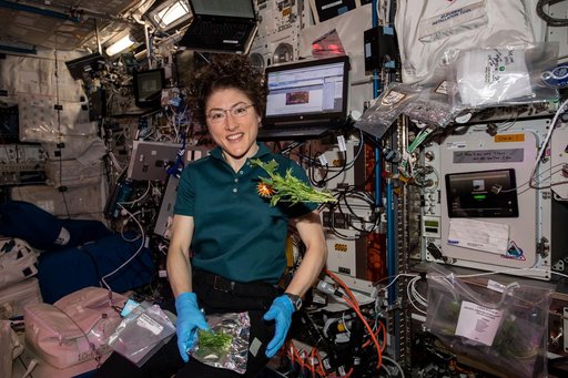 iss061e038290