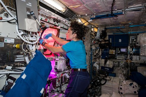 iss061e038294