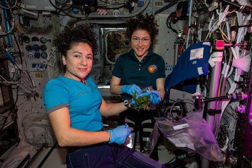 iss061e038302