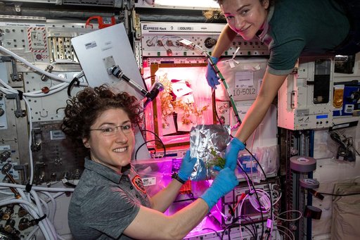 iss061e061596