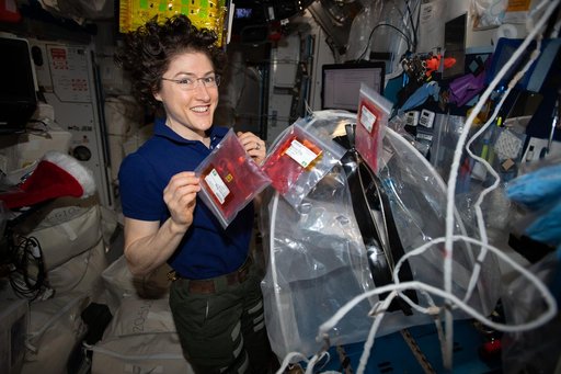 iss061e093848