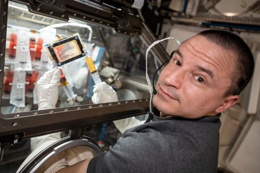 iss062e038364