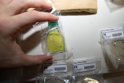 Nanoracks Module 51