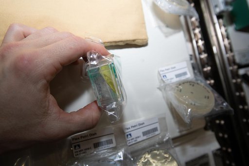 Nanoracks Module 51