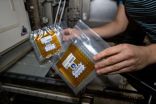 Protein Crystal Growth-10 experiment