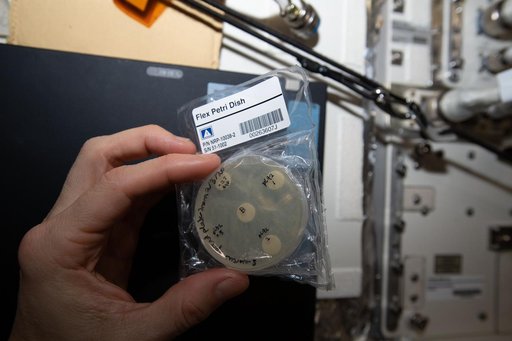 Nanoracks Module-51 Status 2
