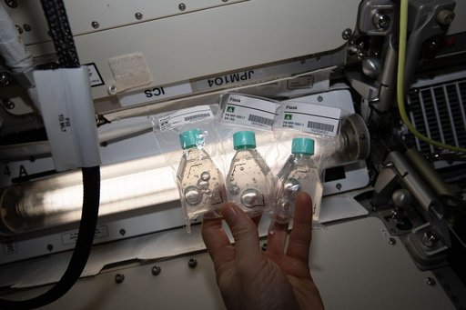 Nanoracks Module-51 Status 2
