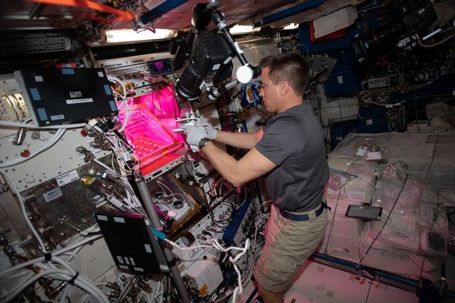 iss063e001873