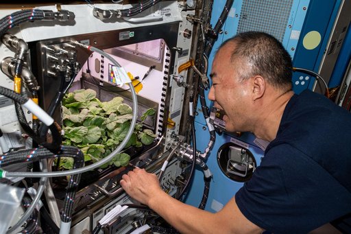 iss064e006454