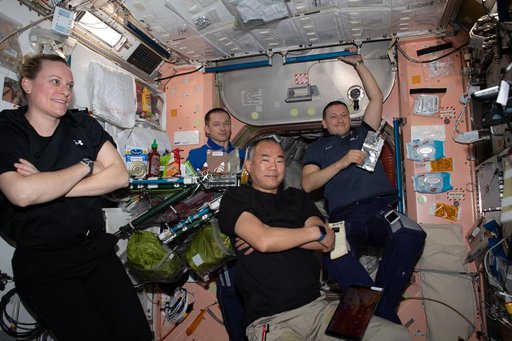 iss064e009895