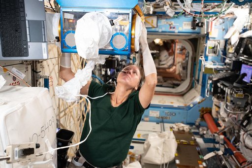 iss064e012015