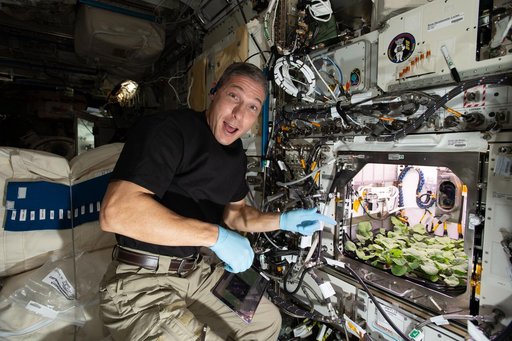 iss064e013926