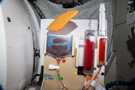 iss064e030235