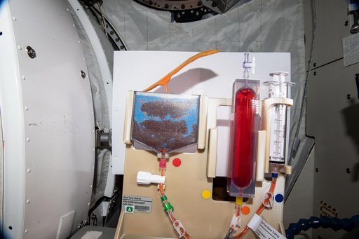 iss064e030275