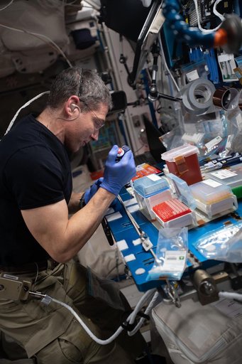 iss064e039273