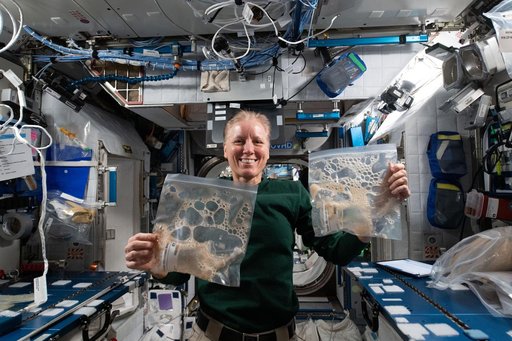 iss064e042078
