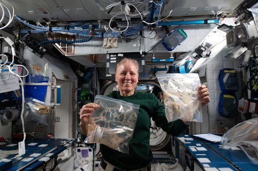 iss064e042079