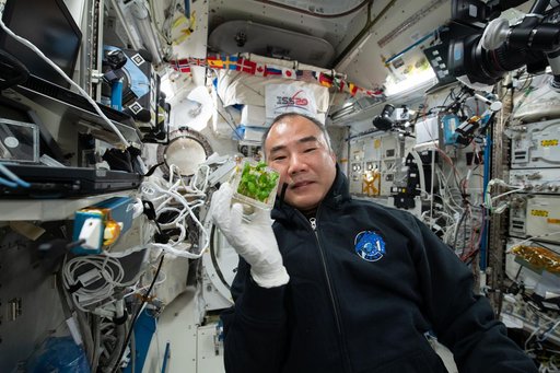 iss064e044320