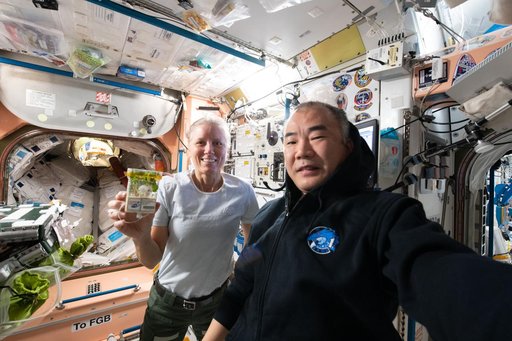 iss064e044325