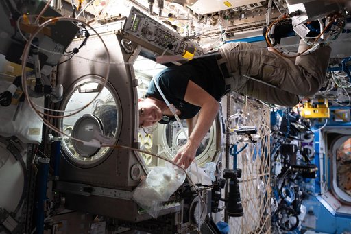 iss065e017714