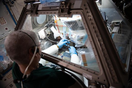 iss065e018995