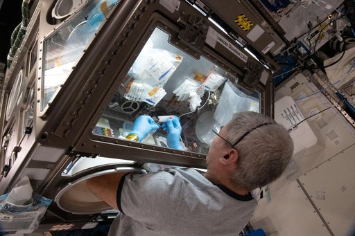 iss065e056832