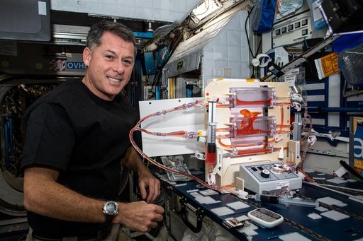 iss065e074538
