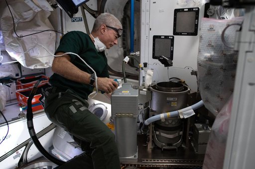 Maintenance of new toilet