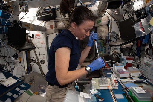 iss065e085491