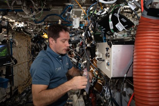 Biological Research In Canisters Transfer to BRIC-LED Facility