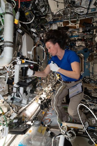 iss065e154962