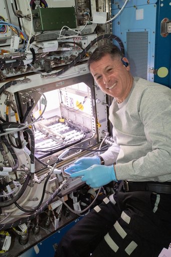 Shane Kimbrough kicks off chile pepper experiment on space station
