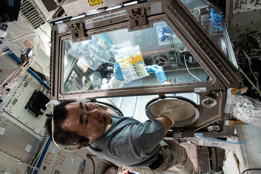 iss065e165850