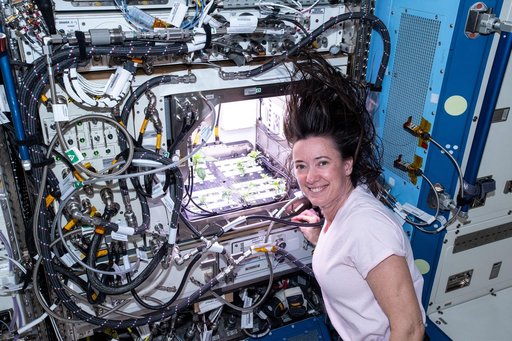 iss065e235377