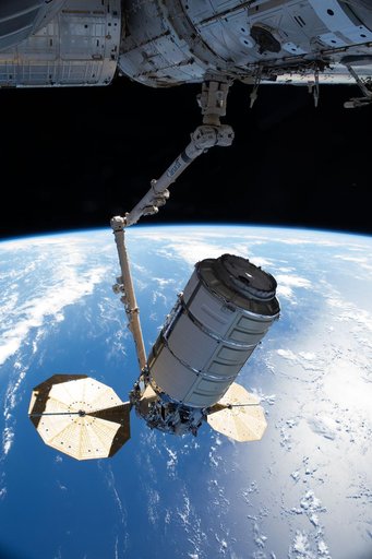 Cygnus capture