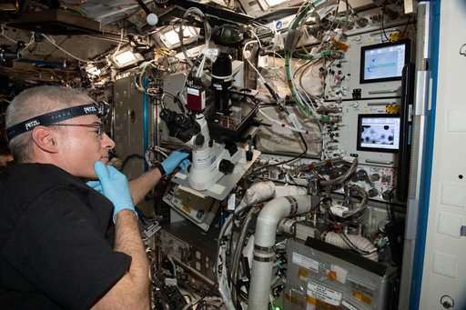 iss065e242415